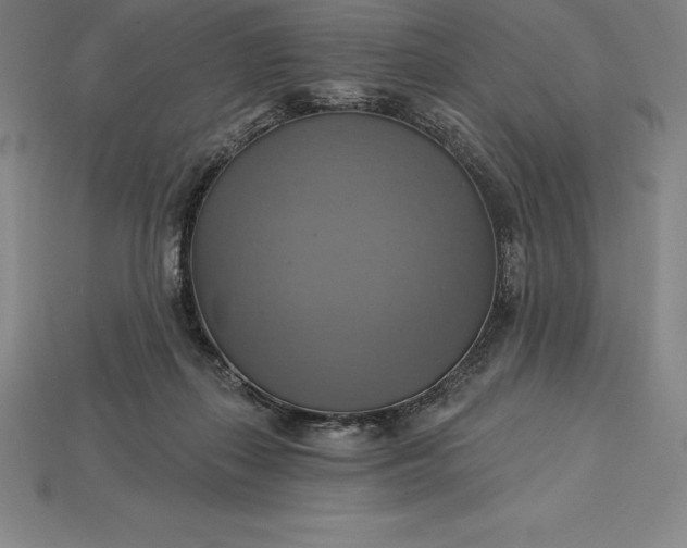 X0000115200267200911121849