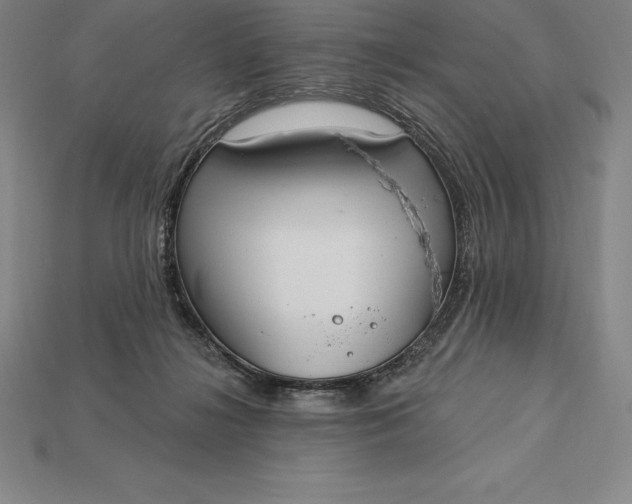 X0000115200268200911121849