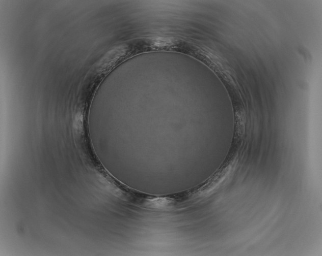X0000115200269200911121849
