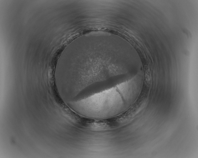 X0000115200270200911121849