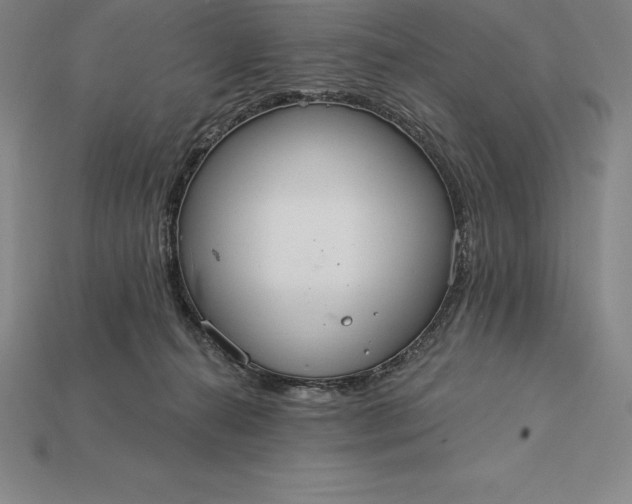 X0000115200272200911121849