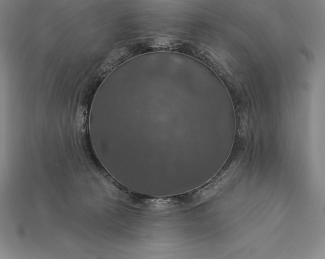 X0000115200273200911121849