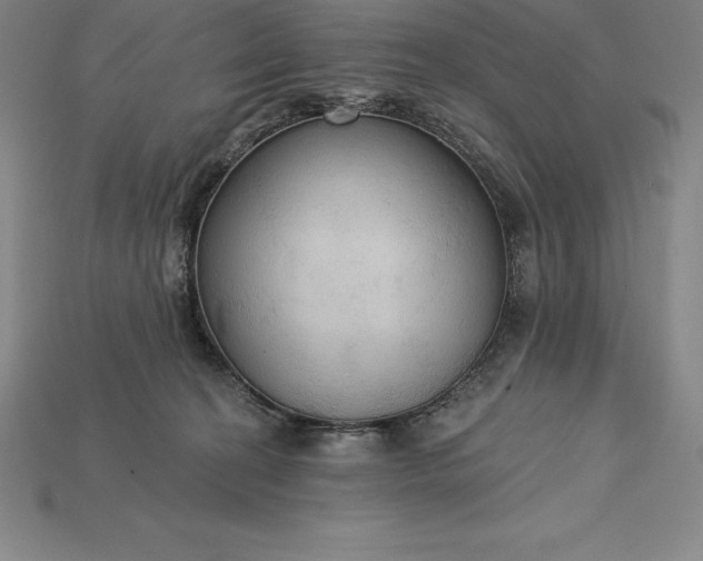 X0000115200274200911121849