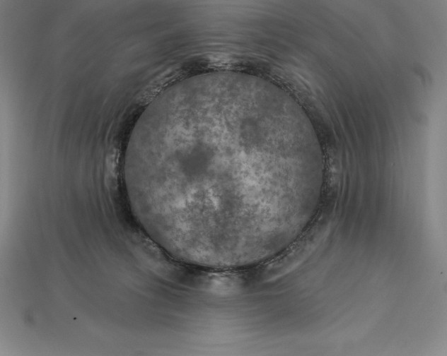 X0000115200275200911121849