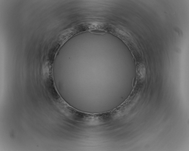 X0000115200276200911121849
