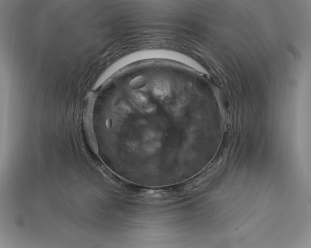 X0000115200277200911121849