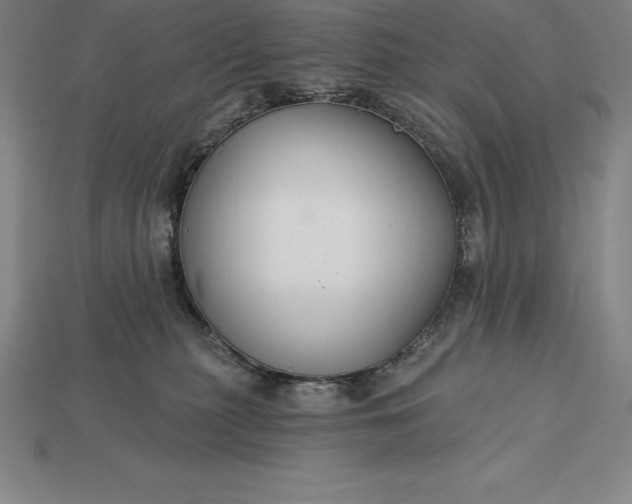 X0000115200279200911121849