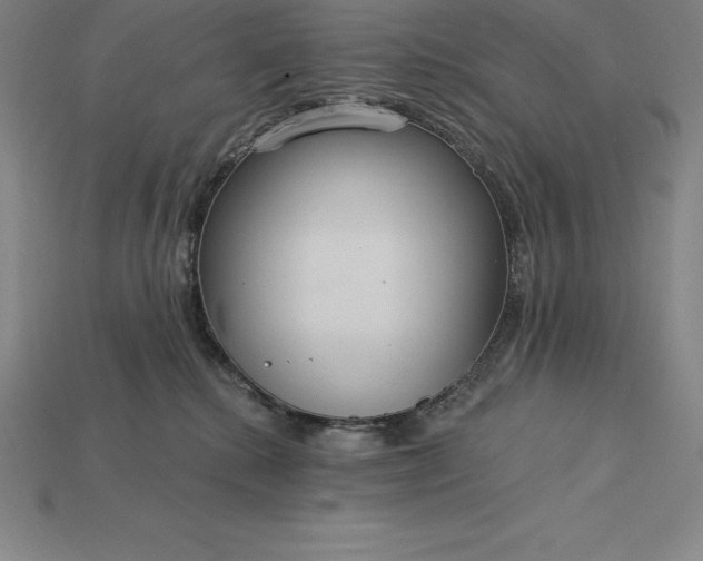X0000115200280200911121849