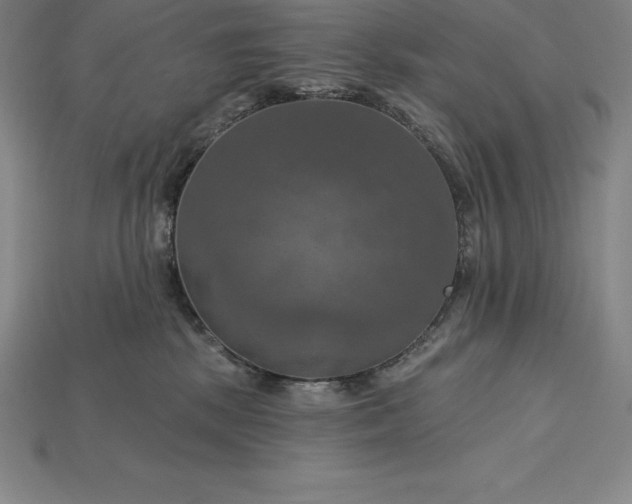 X0000115200281200911121849