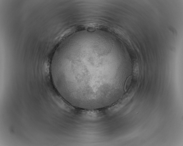 X0000115200282200911121849