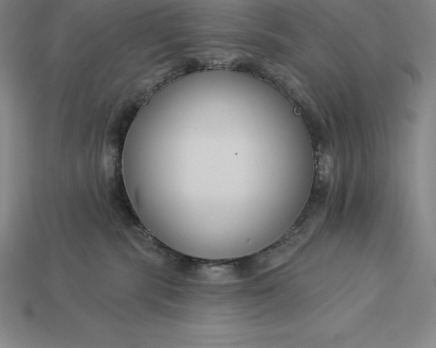 X0000115200283200911121849