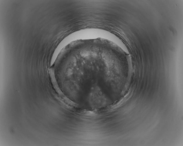 X0000115200285200911121849