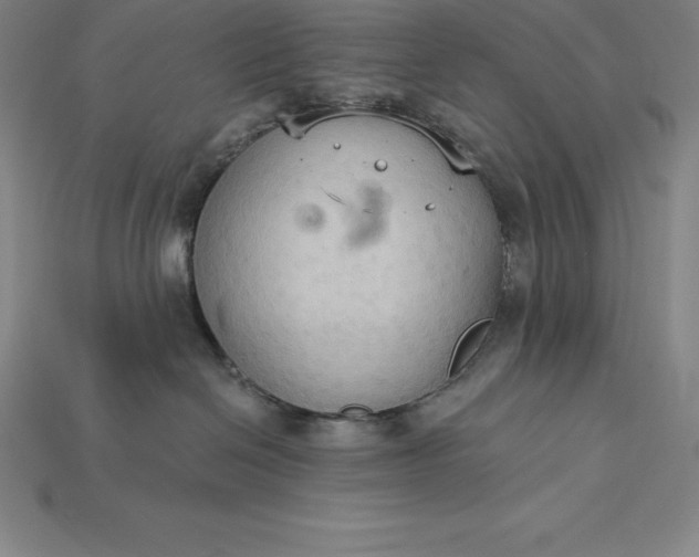 X0000115200286200911121849