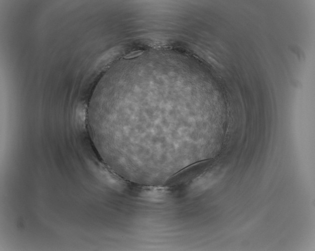 X0000115200288200911121849