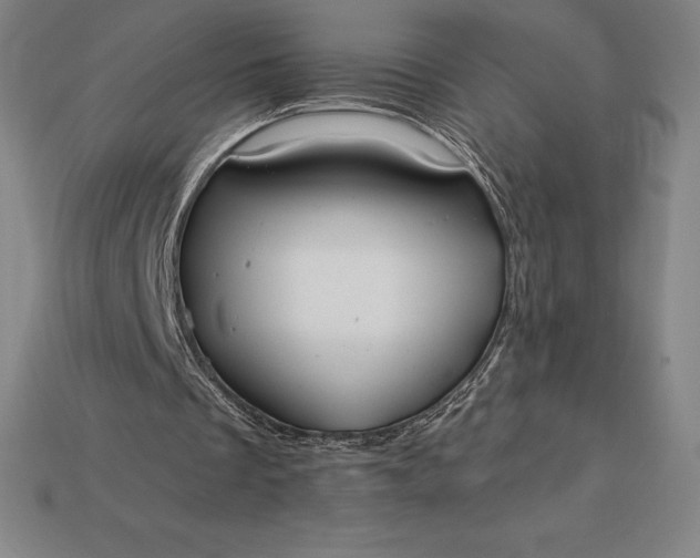 X0000115200289200911121848