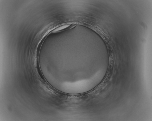 X0000115200290200911121848