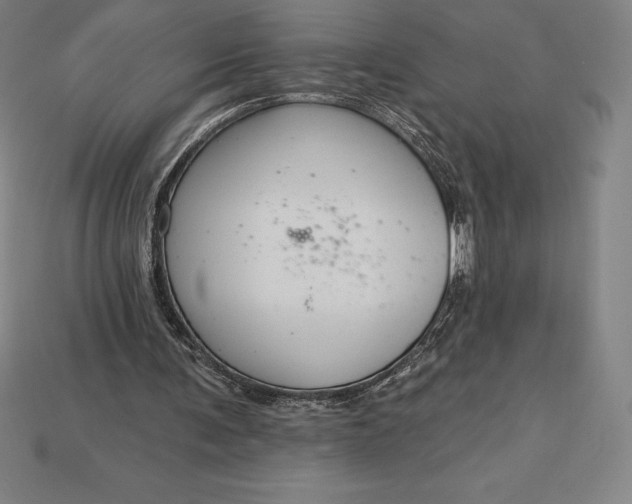 X0000115200291200911121848