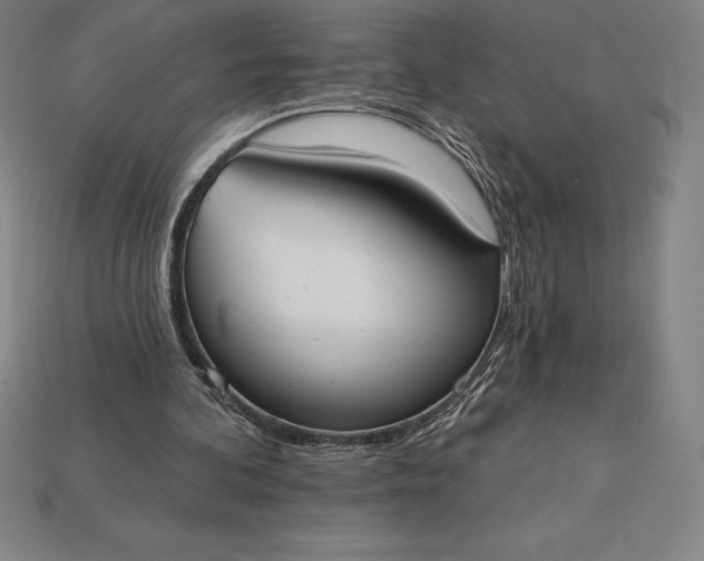 X0000115200292200911121848