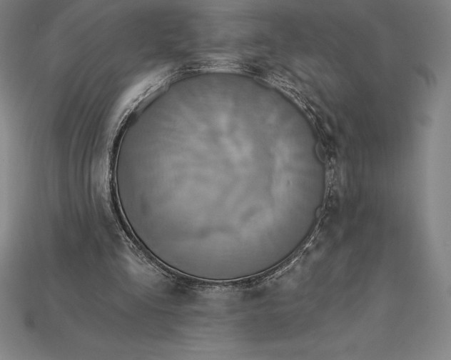 X0000115200293200911121848