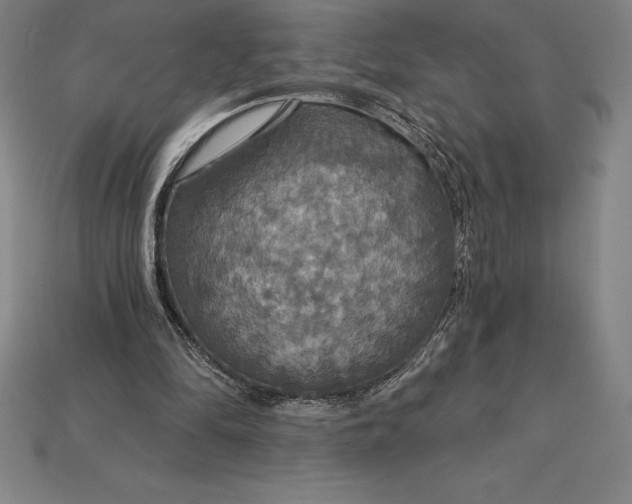 X0000115200294200911121848