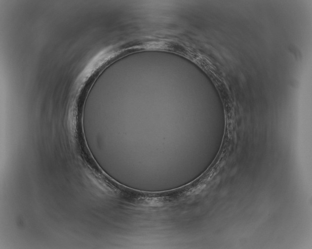 X0000115200295200911121848