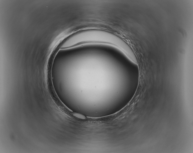 X0000115200296200911121848