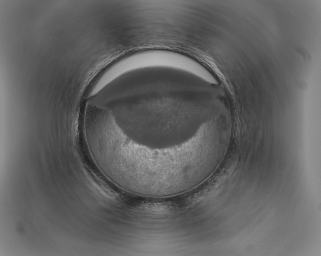 X0000115200299200911121848