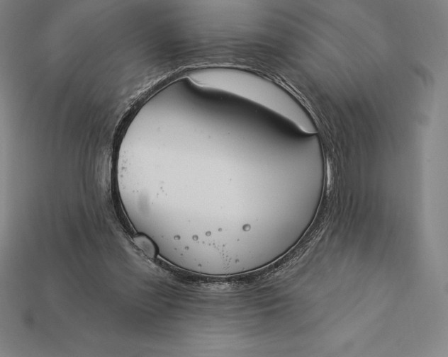 X0000115200301200911121848