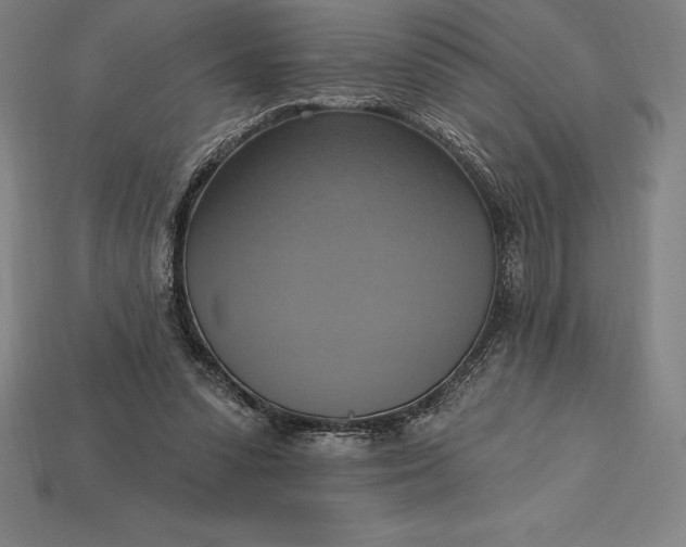 X0000115200303200911121848