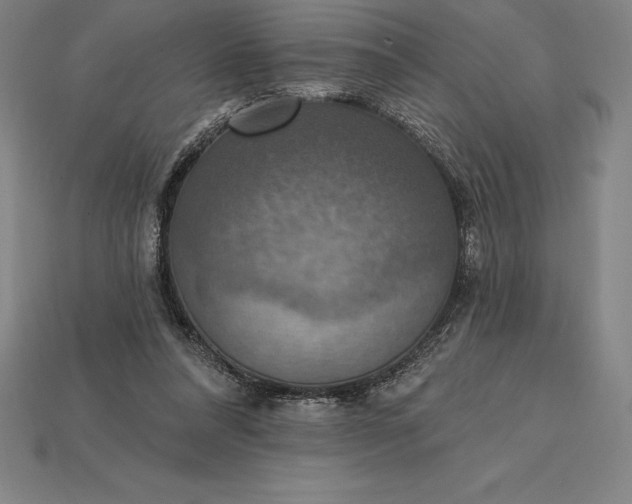 X0000115200304200911121848