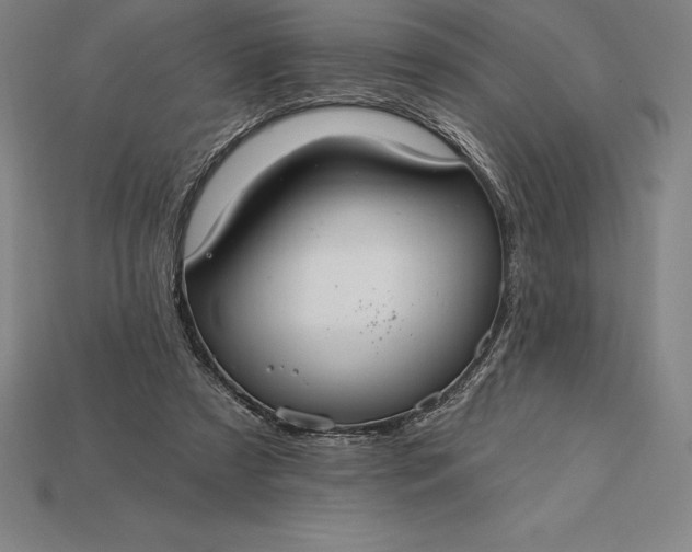 X0000115200305200911121848