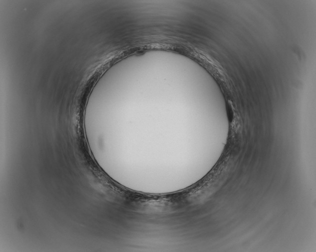 X0000115200306200911121848