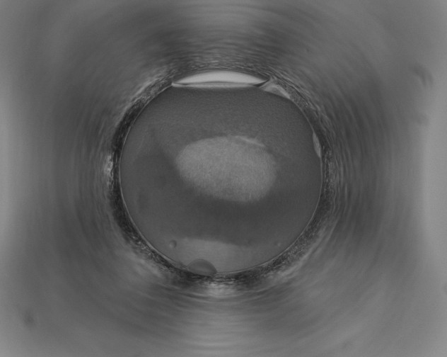 X0000115200308200911121848
