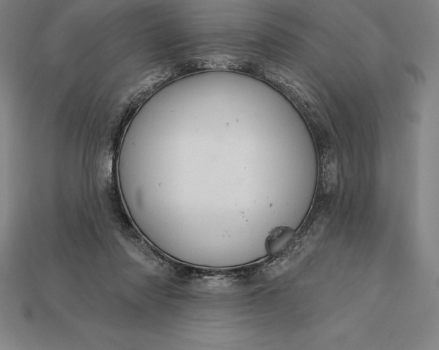 X0000115200310200911121848