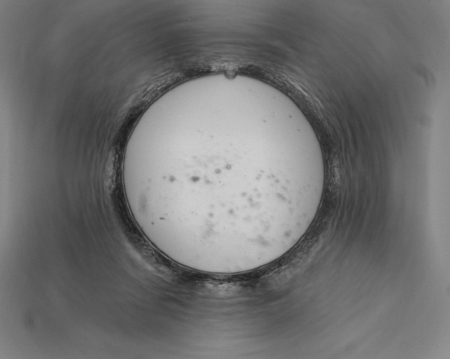 X0000115200311200911121848