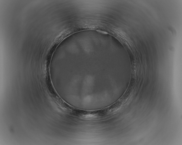 X0000115200312200911121848