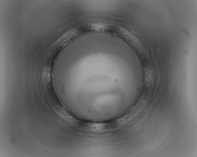 X0000115200313200911121848