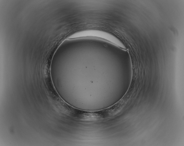 X0000115200316200911121848