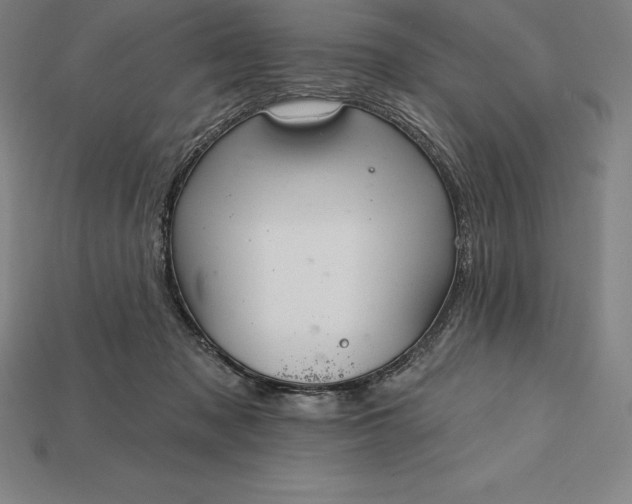 X0000115200317200911121848