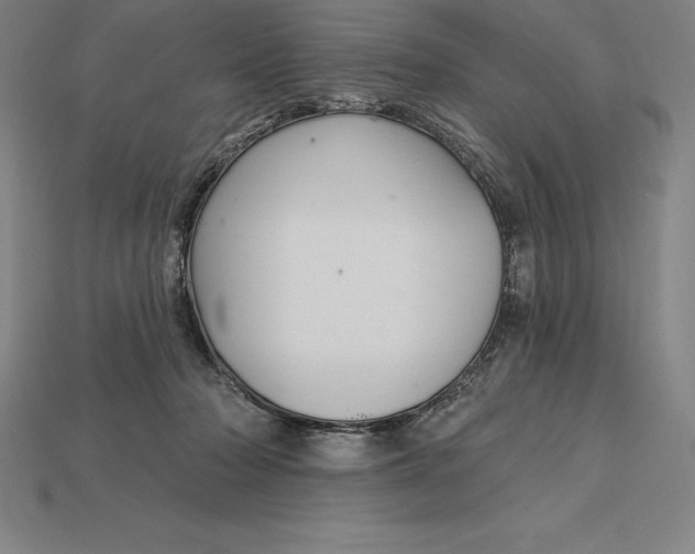 X0000115200318200911121848