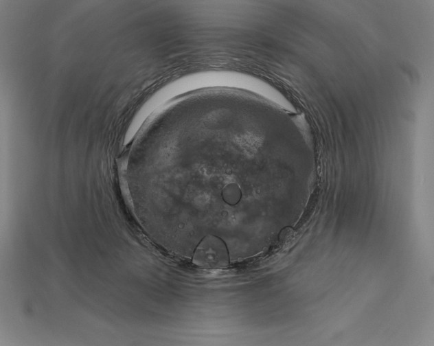 X0000115200319200911121848