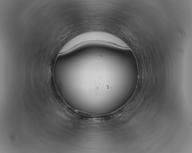 X0000115200320200911121848