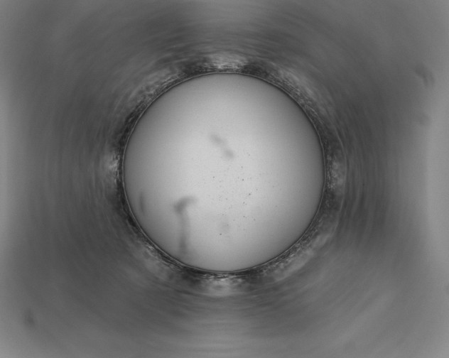 X0000115200321200911121848