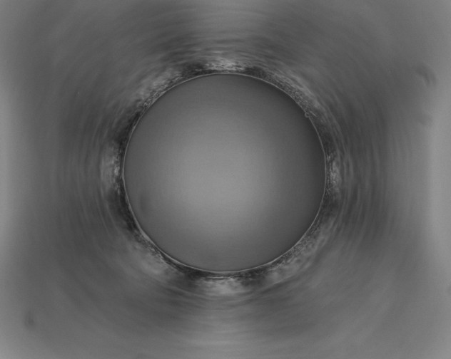 X0000115200322200911121848