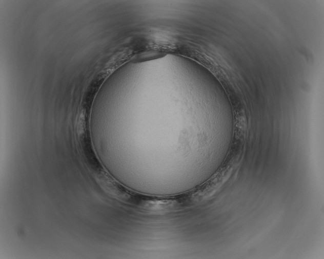 X0000115200323200911121848