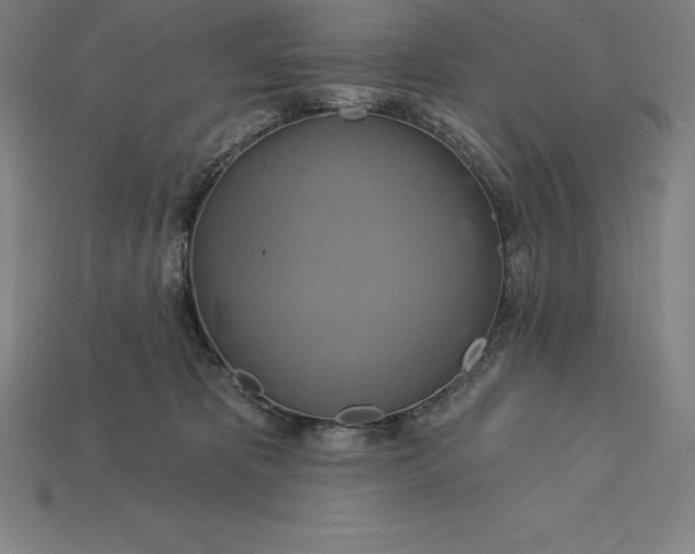X0000115200325200911121848