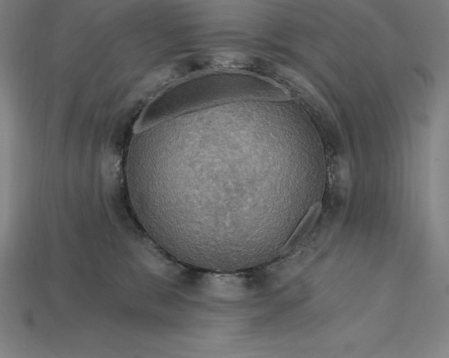 X0000115200327200911121848