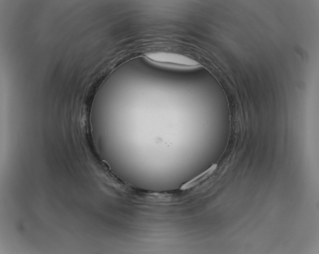 X0000115200328200911121848