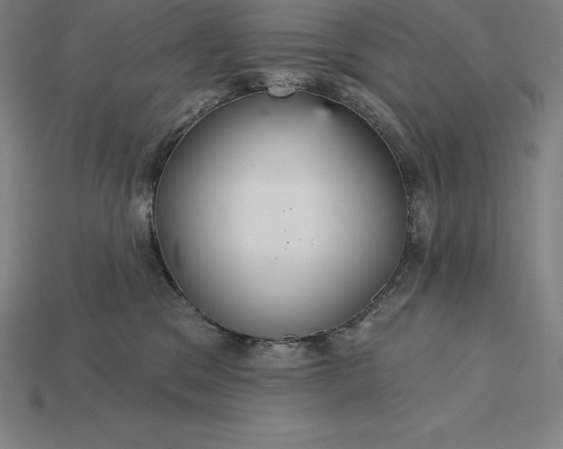X0000115200329200911121848
