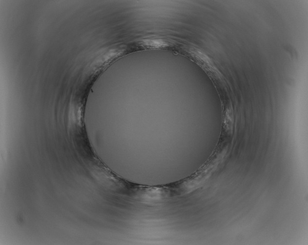 X0000115200330200911121848